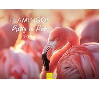 Edition Seidel Premium Calendar Flamingos Pretty in Pink 2026 Format DIN A3 Wall Calendar Animal Calendar Birds Animals Africa Europe Asia Animal Worlds Christian Müringer