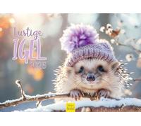 Edition Seidel Premium Calendar Funny Hedgehog 2026 Format DIN A3 Wall Calendar Animal Calendar with Cool Pictures Animals Wild Animals Steffen Gierok-Latniak
