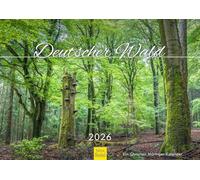 Edition Seidel Premium Calendar German Forest 2026 Format DIN A3 Wall Calendar Europe Germany Leaf Forest Mixed Forest Chestnut Oak Christian Müringer