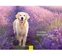 Edition Seidel Premium Calendar Golden Retriever Love 2026 Format DIN A3 Wall Calendar Dog Calendar Dog Puppy Dog Breed Pet
