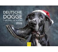 Edition Seidel Premium Calendar Great Dane 2026 Format DIN A4 Wall Calendar Dog Calendar Dog Great Dane Pet Gentle Giant Elegance Strength Loyalty