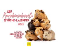 Edition Seidel Premium Calendar Guinea Pigs 2026 Format DIN A4 Wall Calendar Animal Calendar Animals with Funny Sayings Cool Quotes
