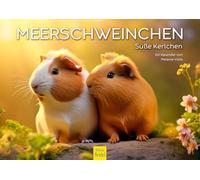 Edition Seidel Premium Calendar, Guinea Pigs 2026 Format, DIN A4 Wall Calendar, Animal Calendar, Guinea Pig Cute Guys, Melanie Viola