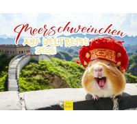 Edition Seidel Premium Calendar, Guinea Pigs on World Travel 2026 Format DIN A4 Wall Calendar, Animal Calendar, Animals with Funny Sayings, Humour