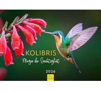 Edition Seidel Premium Calendar Hummingbirds Magic of Lightness 2026 Format DIN A3 Wall Calendar Nature Calendar Birds Bird Christian Müringer