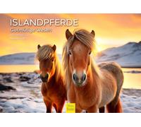 Edition Seidel Premium Calendar Icelandic Horses Cosy Creatures 2026 Format DIN A4 Wall Calendar Horse Calendar Icelanders Iceland Animals Pony Mare Stallion Foal Melanie Viola
