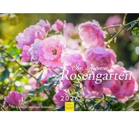 Edition Seidel Premium Calendar in Beautiful Rose Garden 2026 Format DIN A3 Wall Calendar Nature Seasons Idyllic Gardens Roses Flowers Plants Christian Müringer