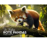 Edition Seidel Premium Calendar in Focus Red Pandas 2026 Format DIN A3 Wall Calendar Animal Calendar Asia Nature Animals Panda Young Animals Wild Animals Melanie Viola
