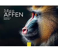 Edition Seidel Premium Calendar In The Realm of the Apes 2026 Format DIN A3 Wall Calendar Animal Calendar Africa Monkey Gorilla Lemur Chimpanzee Primates Rainforest Wild Animal Forest Animal Melanie