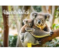 Edition Seidel Premium Calendar Inseparable Animals Children and Their Mothers 2026 Format DIN A3 Wall Calendar Animal World Animal Child Mum Koala Polar Fox Raccoon Fallow Wild Christian Müringer