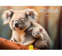 Edition Seidel Premium Calendar Koala 2026 Format DIN A4 Wall Calendar Animal Calendar Australia Animal Koala Eucalyptus Forest Mammal Melanie Viola