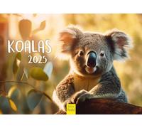 Edition Seidel Premium Calendar Koalas 2025 Format DIN A4 Wall Calendar Animal Calendar Australia Koala Bear Mammal Eucalyptus Forest