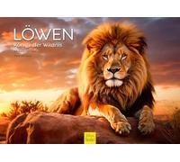 Edition Seidel Premium Calendar Lion Kings of the Wilderness 2026 Format DIN A3 Wall Calendar Animal Calendar Africa Wild Animal Predator Cat Lion Big Cat Tiger Cheetah Melanie Viola