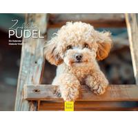 Edition Seidel Premium Calendar Magical Poodle 2026 Format DIN A4 Wall Calendar Dog Calendar Dog Puppy Dog Breed Pet Melanie Viola