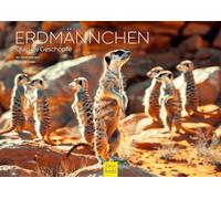 Edition Seidel Premium Calendar Meerkat 2026 Format DIN A4 Wall Calendar Animal Calendar Africa Zoo Nature Pack Mammal Wild Animal Melanie Viola
