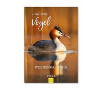 Edition Seidel Premium Calendar Native Birds Weekly Calendar 2026 Format DIN A4 Wall Calendar with Beautiful Pictures Bird Calendar Bird Blackbird Robin Owl Duck Nature Christian Müringer