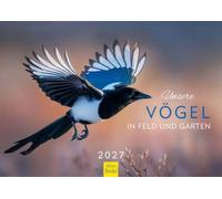 Edition Seidel Premium calendar Our birds In field and garden 2027 Format DIN A4. German wall calendar bird calendar blackbird magpie robin CM-KA-2027