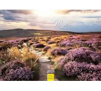 Edition Seidel Premium Calendar Paths Through Nature 2026 Format DIN A4 Wall Calendar Nature Calendar Europe Germany Coast Sea Mountains Forest