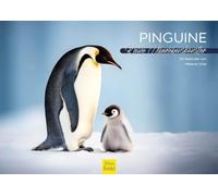 Edition Seidel Premium Calendar Penguins 2026 Format DIN A4 Wall Calendar Animal Calendar South Pole Antarctic Penguin Chicks Bird Birds Seabirds Melanie Viola