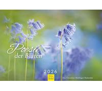 Edition Seidel Premium Calendar Poetry of Flowers 2026 Format DIN A3 Wall Calendar Nature Calendar Seasons Flowers Plants Christian Müringer