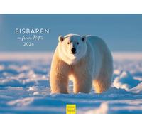 Edition Seidel Premium Calendar Polar Bears in the Wild 2026 Format DIN A4 Wall Calendar Animal Calendar Animals Polar Bear Cub Arctic Snow Ice Wildlife