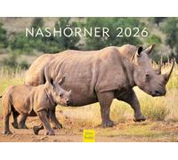 Edition Seidel Premium Calendar Rhinos 2026 Format DIN A4 Wall Calendar Animal Calendar Africa Southeast Asia Rhino Rhino Wild Animals