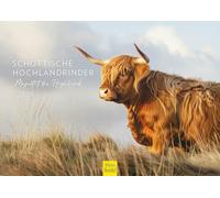 Edition Seidel Premium Calendar Scottish Highland Cattle Majesty of the Highlands 2026 Format DIN A4 Wall Calendar Animal Calendar Scotland Highland Cattle Kyloe Beef Cows Calves Calves