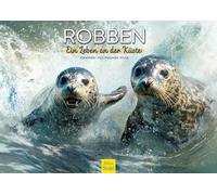 Edition Seidel Premium Calendar Seals 2026 Format DIN A3 Wall Calendar Animals Seal Cone Seal Cub Sea Animals Coast Beach Ocean Nature Melanie Viola