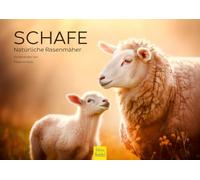 Edition Seidel Premium Calendar Sheep Natural Lawnmower 2026 Format DIN A4 Wall Calendar Animal Calendar Sheep Lamb Goat Pets Melanie Viola