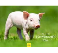 Edition Seidel Premium Calendar Small Pigs 2026 Format DIN A4 Wall Calendar Animal Calendar Animals Pig Piglet Freshling Wild Boar Native Mammals