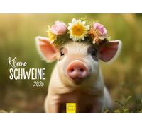Edition Seidel Premium Calendar Small Pigs 2026 Format DIN A4 Wall Calendar Animal Calendar Animals Pig Piglet Freshling Wild Boar Native Mammals