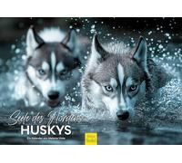 Edition Seidel Premium Calendar Soul of the North Husky 2026 Format DIN A3 Wall Calendar Animals Puppy Male Dog Sleigh Dog Winter Snow Melanie Viola
