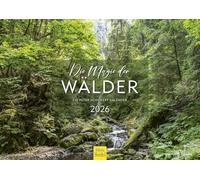 Edition Seidel Premium Calendar The Magic of the Forests 2026 Format DIN A4 Wall Calendar Nature Forest Laurel Forest Jungle Moor Ravenna Gorge Peter Schickert