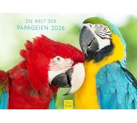 Edition Seidel Premium Calendar The World of Parrots 2026 Format DIN A4 Wall Calendar Animal Calendar Parrot Cockatoo Birds Animals Nature