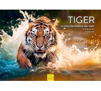 Edition Seidel Premium Calendar Tiger 2026 Format DIN A3 Wall Calendar Animal Calendar The Largest Predatory Cat Africa Puppy Cat Predator Wild Animal Melanie Viola
