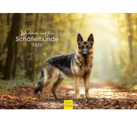 Edition Seidel Premium Calendar Vigilant and Faithful Shepherds 2026 Format DIN A4 Wall Calendar Animals Dog Pet Germany Puppy