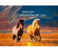 Edition Seidel Premium Calendar Wild and Free Icelandic Horses 2026 Format DIN A4 Wall Calendar Horse Calendar Icelandic Animals Pony Mare Stallion Foal