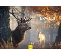 Edition Seidel Premium Calendar Wildlife of the Forest 2026 Format DIN A3 Wall Calendar Animal Calendar Birds Animals Forest Nature Christian Müringer