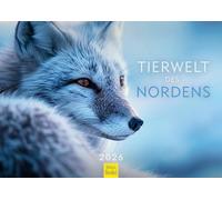 Edition Seidel Premium Calendar Wildlife of the North 2026 Format DIN A3 Wall Calendar North Scandinavia Arctic Animal Polar Fox Reindeer Polar Bear Walrus Lynx Elk Owl Christian Müringer