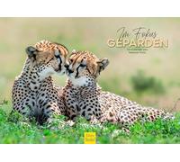 Edition Seidel Premium Calendar Zoom on Cheetahs 2027 DIN A3 German Wall Calendar Savannah Nature Cheetah Baby Animal Wild Animals Melanie Viola