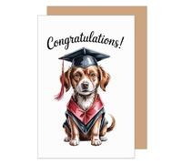 Edition Seidel Premium Congratulations Card for Passing Exam with Envelope Card Greeting Card Saying Sayings English Bachelor Studies University Success Graduation Celebration Man Woman (PR179 SW026)