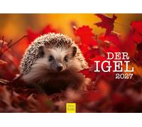 Edition Seidel Premium Der Hedgehog Calendar 2027 DIN A4 Format Wall Calendar German Animal Forest Wild Animals Native Forest Animals