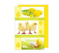 Edition Seidel Premium greeting card for Easter with envelope. Easter card, greeting card, folding card, Easter greetings, Happy Easter, spring, colourful Easter egg, Easter chick, egg hunt (O172)