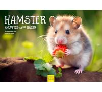 Edition Seidel Premium Hamster Calendar 2026 Format DIN A4 Wall Calendar Animal Calendar Mammal Pet Cuddly Rodent Melanie Viola