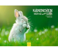 Edition Seidel Premium Rabbit Calendar 2026 Format DIN A3 Wall Calendar Animal Calendar Bunny Mummler Animal Children Wild Animals Forest Animals Pets Melanie Viola