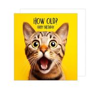 Edition Seidel Premium Square Birthday Card with Envelope Greeting Happy Birthday For Him or Her Female Male Teenager Kids Cool Funny Cat Animal (GQ152 SW024)