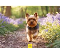 Edition Seidel Premium Yorkshire Terrier Calendar 2026 Format DIN A3 Wall Calendar Dog Pet Puppy Male Female Fashion Lifestyle
