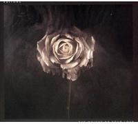 Editors - The Weight Of Your Love [CD]