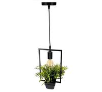 EDO Pendant Light Decorative Hanging Lamp with Pot and Flower MEA Rectangle Pendant Light, Geometric Rectangle, Plant Pot, Natural Designer IP20, E27, EDO777546 Black