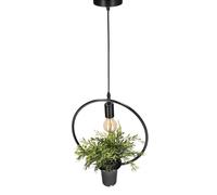 EDO Pendant Light Decorative Hanging Lamp with Pot and Flower MEA Round Pendant Light, Gemetric Circle, Plant Pot, Natural Designer IP20, E27, EDO777544 EDO
